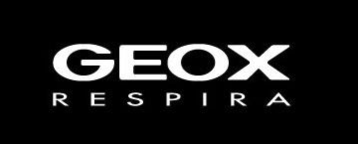 Geox Logo